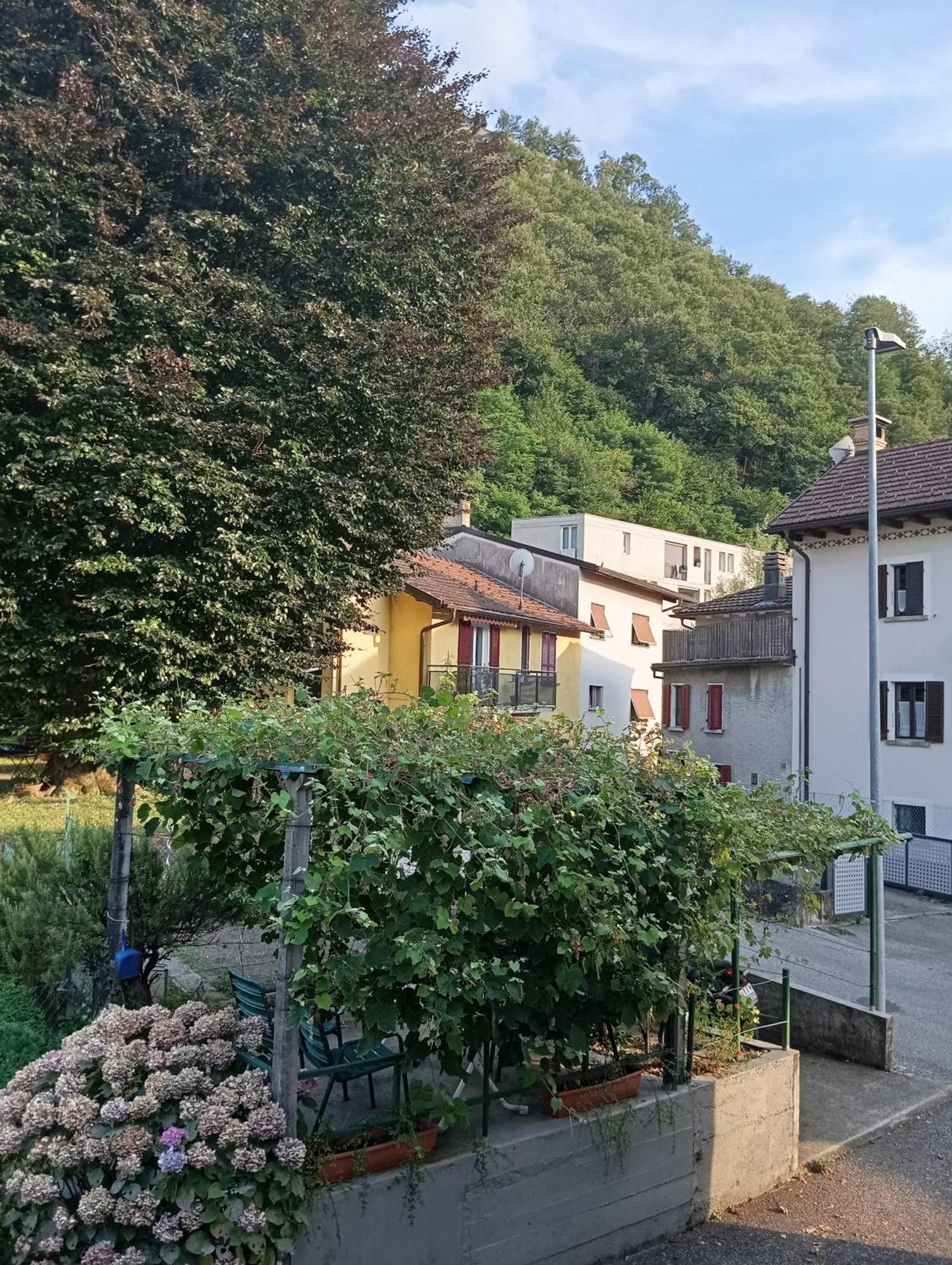 Minicasa Villa Bellinzona Exteriör bild