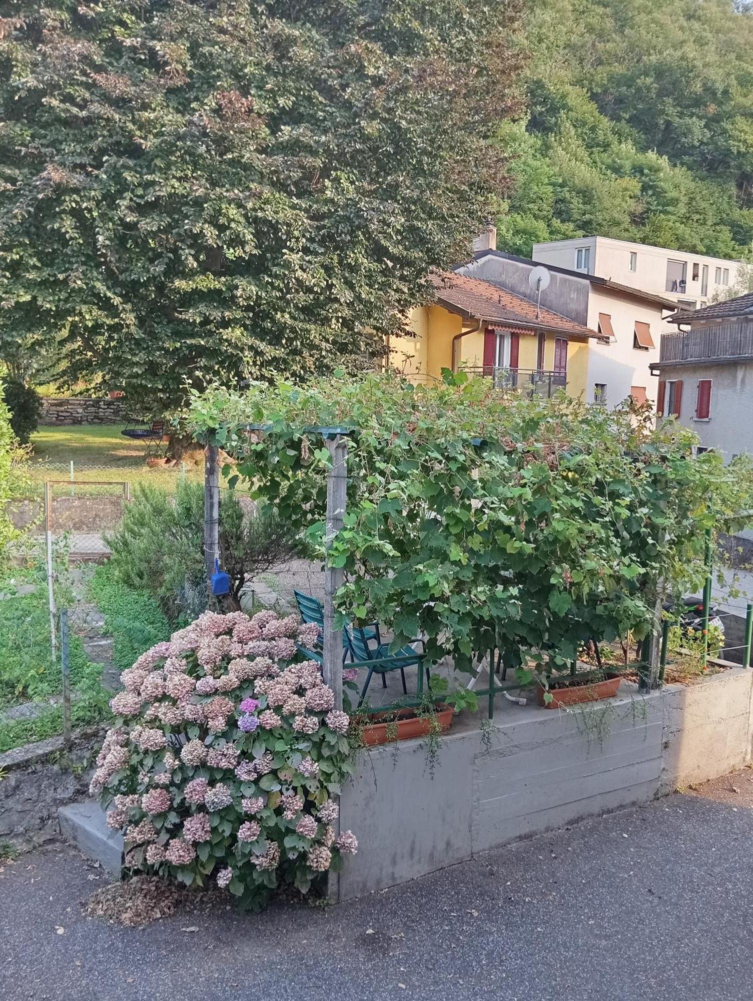 Minicasa Villa Bellinzona Exteriör bild